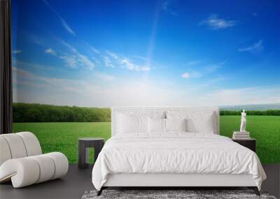 sunrise over a green field Wall mural