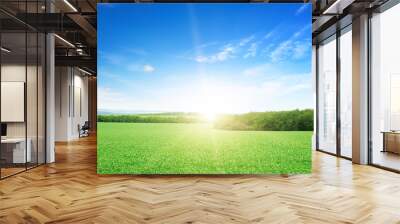 sunrise over a green field Wall mural