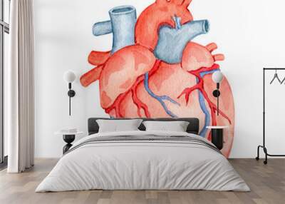 Watercolor anatomy organ heart illustration.  Wall mural