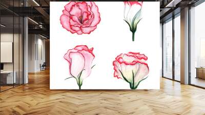 Watercolor set of flowers Eustoma Wall mural