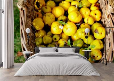 Garden basket filled up with Japan quince Wall mural