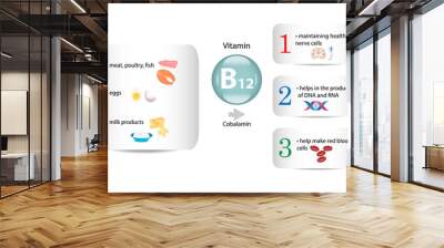 Vitamin B12 vector design. Vitamin B12 function and sources. Cobalamin Wall mural