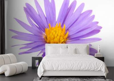 Purple flower on white background Wall mural