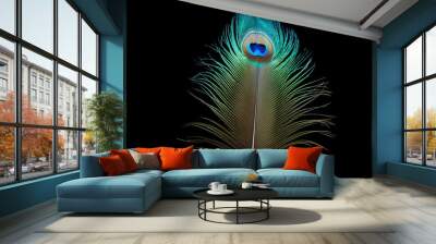 peacock feather on black background Wall mural