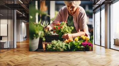 Unrecognizable senior woman gardening on balcony in summer, planting flowers Wall mural