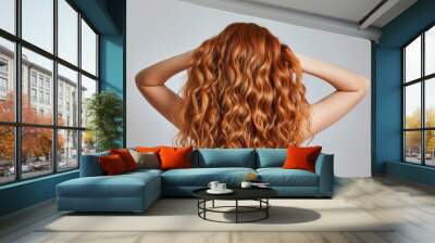 Woman with healthy, natural and ginger hair with relax curly, auburn or red beauty hairstyle back view. Shampoo salon hair care or redhead girl playing with clean red hair isolated on grey background  Wall mural