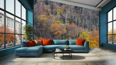 Fall View in Great Smoky Mountains National Park on the Border of Tennessee and North Carolina   Wall mural