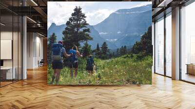 Women Backpacking in Glacier National Park in Montana During Summer Wall mural