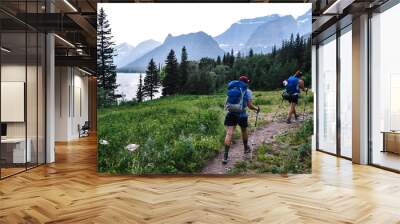 Women Backpacking in Glacier National Park in Montana During Summer Wall mural