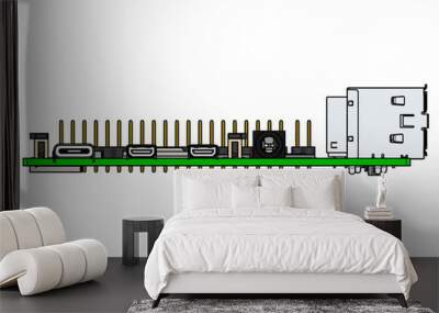 Raspberry Pi 4 Model B board Wall mural