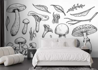 Mushrooms vector set. Hand drawn vector illustration of fungus in black and white colors. Drawing of boletus and fly agaric in line art style. Sketch of forest porcini and champignons group. Wall mural