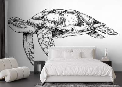 Sea Turtle. Hand drawn vector illustration of undersea Tortoise on isolated background in outline style. Nautical drawing of underwater animal painted by black inks for icon or logo. Sketch of reptile Wall mural