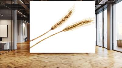 Spikelets of wheat or ray watercolor illustration on isolated background. Drawing of grain for harvest invitations or autumn greeting cards. Fall set with ingredient for bakery and pastry. Wall mural