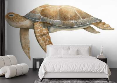 Watercolor hand drawn Sea Turtle on isolated background in beige and brown colors.er. Colorful drawing of wild underwater animal. Sketch of swimming marine tortoise for poster. Tropical reptile Wall mural