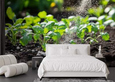 Young seedlings in fertile soil being fertilized with granules, promoting healthy growth in an organic garden during springtime sunlight Wall mural