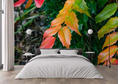 Vibrant and shiny autumn leaves Wall mural