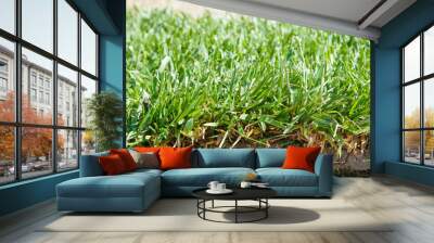 Fresh sod Wall mural