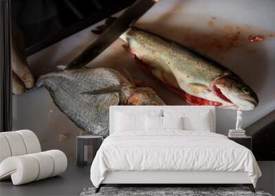 closeup fresh trout and dorado fish on white cutting board Wall mural