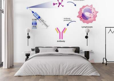 Spike protein vaccine mechanism of action. Coronavirus vaccine scheme Wall mural