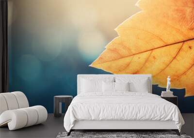 Colorful autumn leaf against blurred background. Panoramic banner with fall colors. Minimalist composition Wall mural