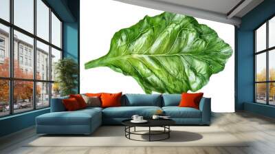 A single leaf of lettuce photographed closely Wall mural