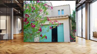 Red flowers near a house, beautiful plants in the France Wall mural