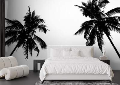 Realistic SilhouetteTropical Coconut Palm Tree, black silhouettes and outline contours on white background. Vector Wall mural