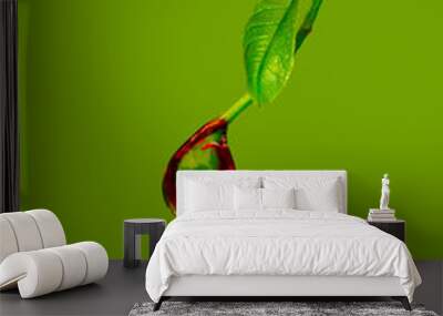 green and red beads Wall mural