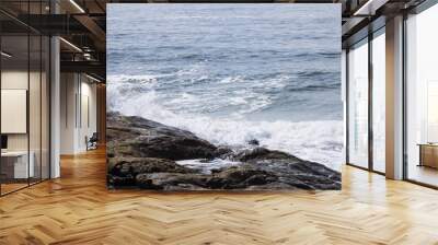 Ocean waves on a rocky shore Wall mural