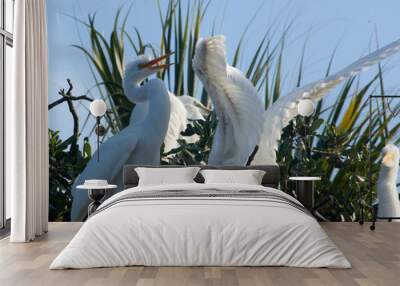 White Heron chicks Wall mural