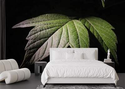 green leaf on black Wall mural