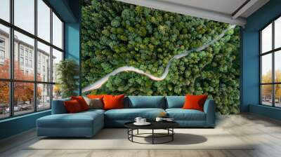 Backlights of a driving car in a curvy road as long exposure from a drone, having a trip to a green summer forest at the evening. Wall mural