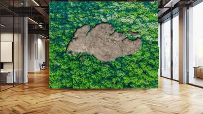 Sustainable habitat Map of Singapore Wall mural