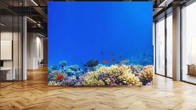 Underwater view of the coral reef, Tropical waters Wall mural