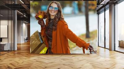 smiling elegant woman in brown trench coat with shopping bags Wall mural