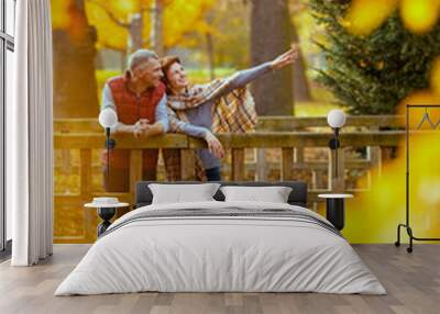 smiling romantic couple in park on bridge Wall mural