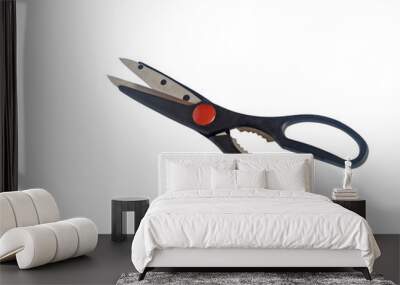 scissors Wall mural