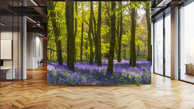 Sunlight casts shadows across bluebells in a wood Wall mural