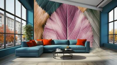 Macro colorful leaves, texture background Wall mural