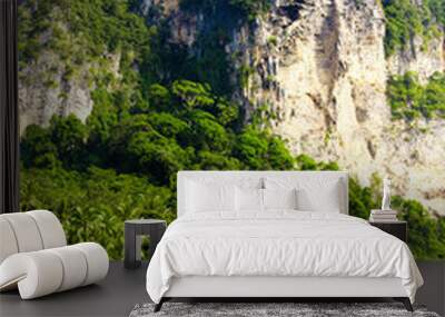 Blue Landscape High Cliffs Wall mural