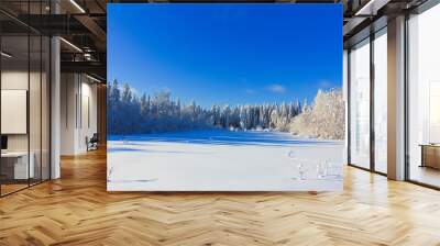 Hot Winter snow Wall mural