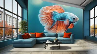 Orange and Blue Betta Fish with Flowing Fins Wall mural