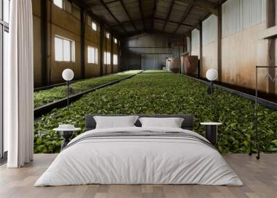 Tea Leaves Drying in a Factory Wall mural