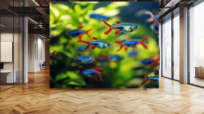 Vibrant Neon Tetras Swimming in Lush Greenery Wall mural