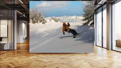 Young athletic snowboarder in bright yellow coat riding down on splitboard splashing snow Wall mural