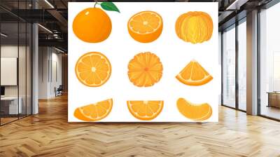 Set of fresh whole, half, cut slice tangerine or mandarin fruits isolated on white background. Summer fruits for healthy lifestyle. Organic fruit. Cartoon style. Vector illustration for any design. Wall mural