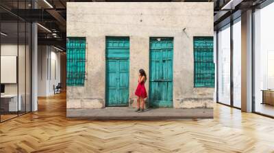 Colorful old door of Merida, Yucatan, Mexico Wall mural