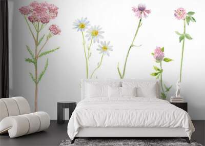 collection of medicine herbal. watercolor painting Wall mural