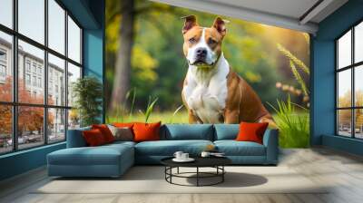 american staffordshire terrier Wall mural