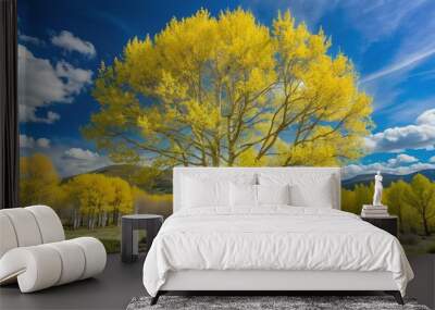 In spring, aspen blooms in nature (Populus tremula, Populus pseudotremula) Wall mural